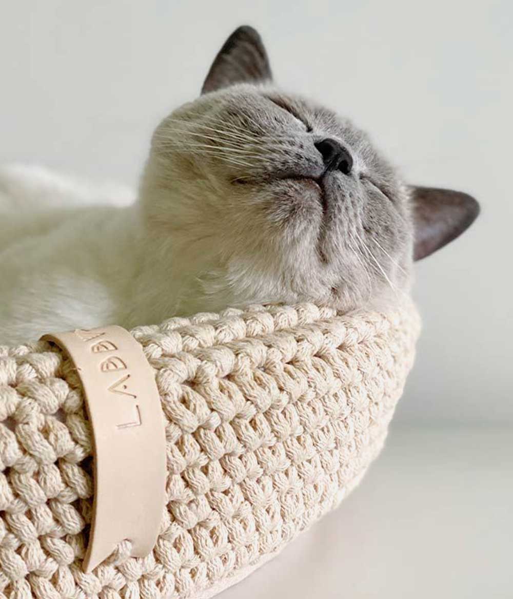katzenkorb geflochten beige