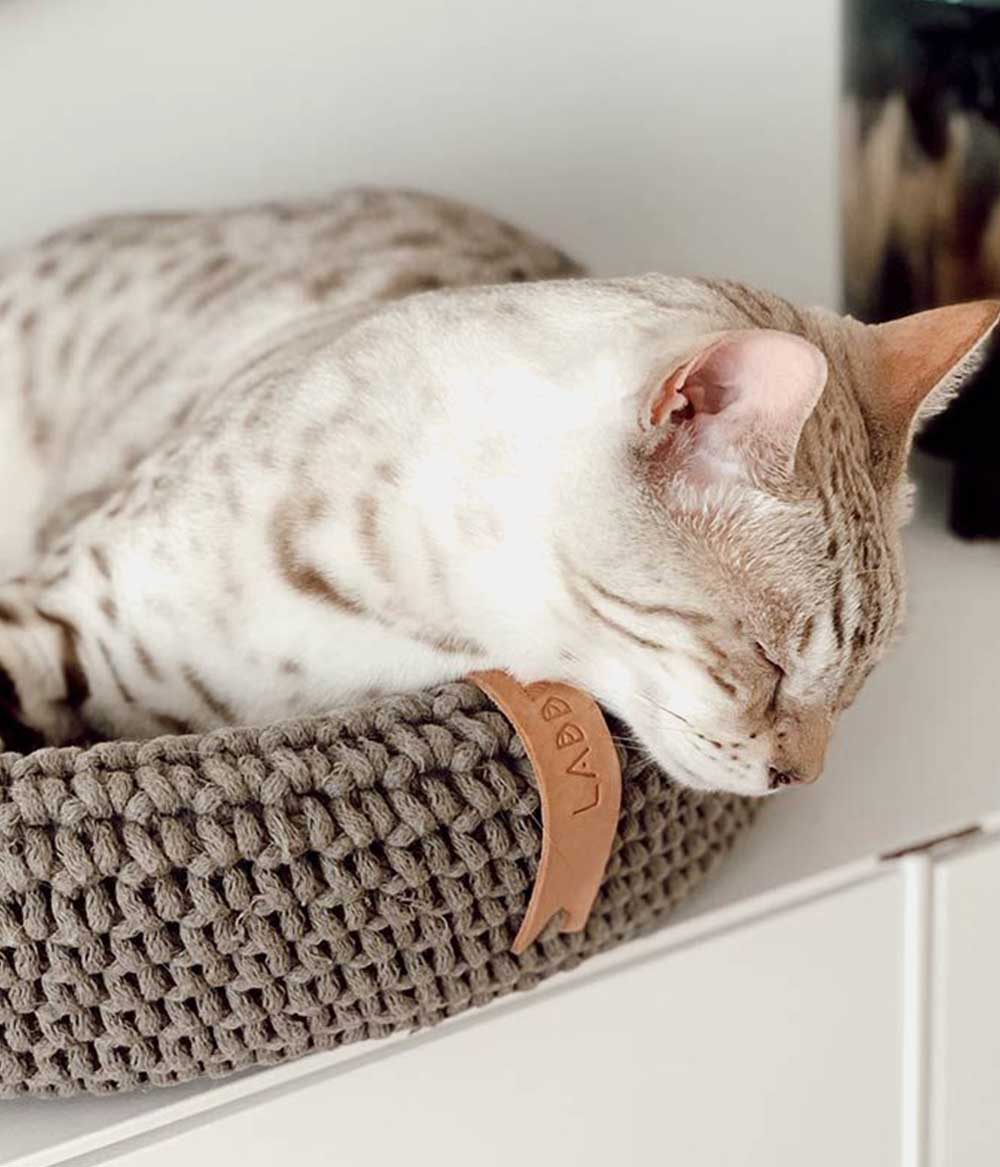 katzenkorb geflochten braun