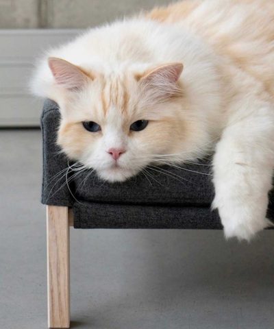 Katzenbett aus Holz in grau