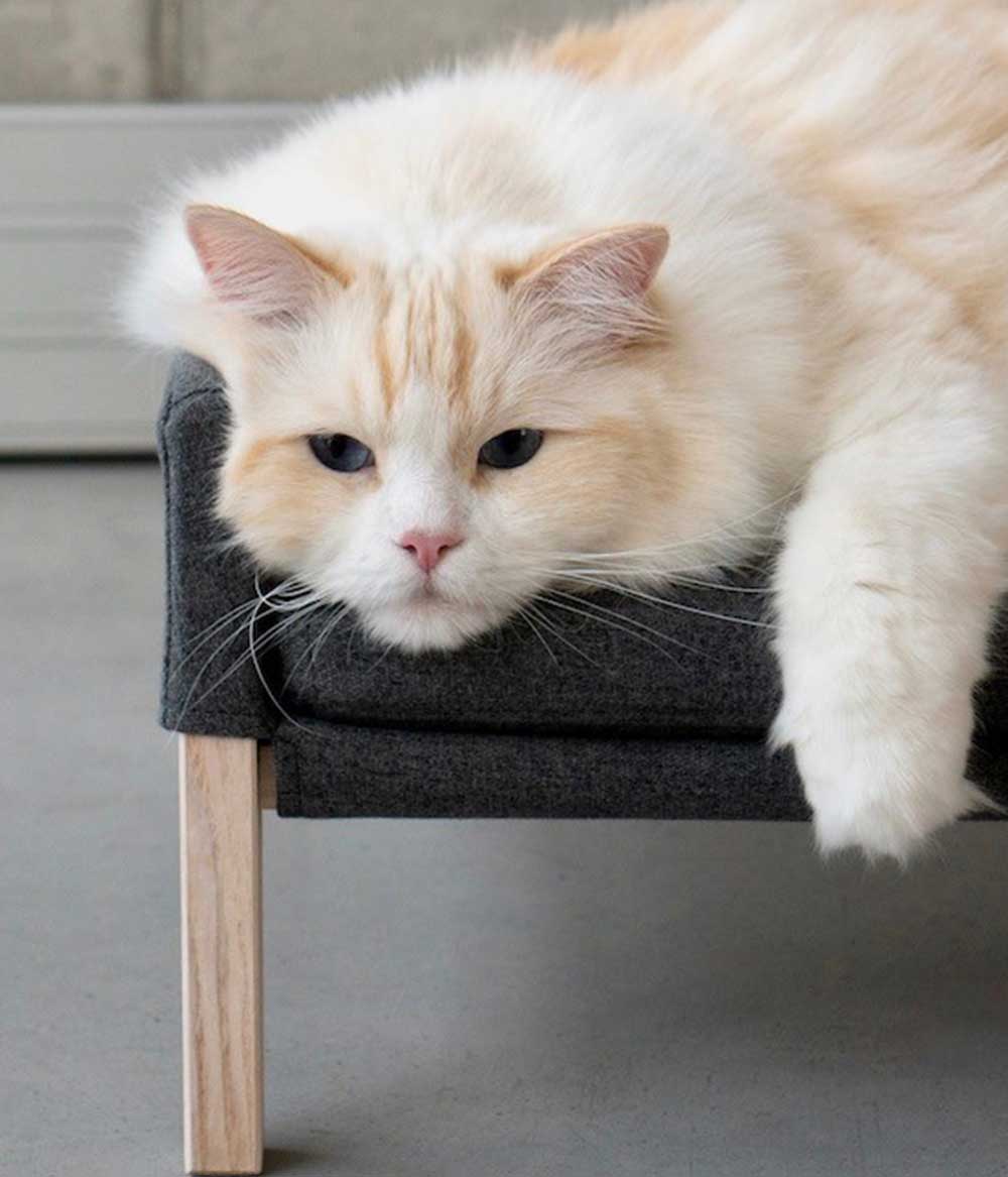 Katzenbett aus Holz in grau