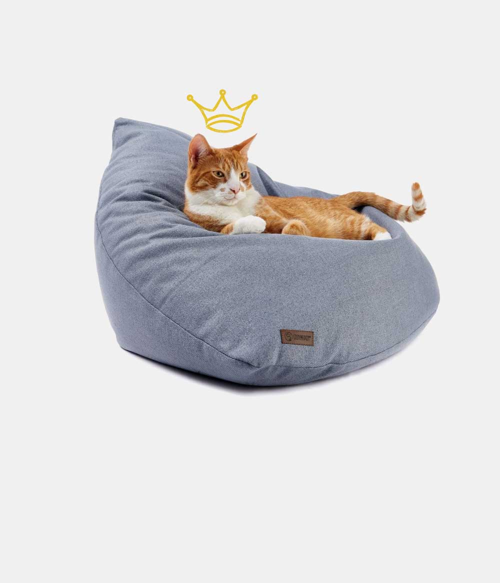 Katzenkissen