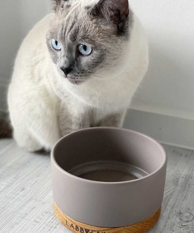 Keramik Katzennapf vuku