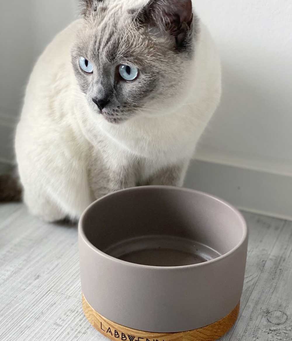 Keramik Katzennapf vuku