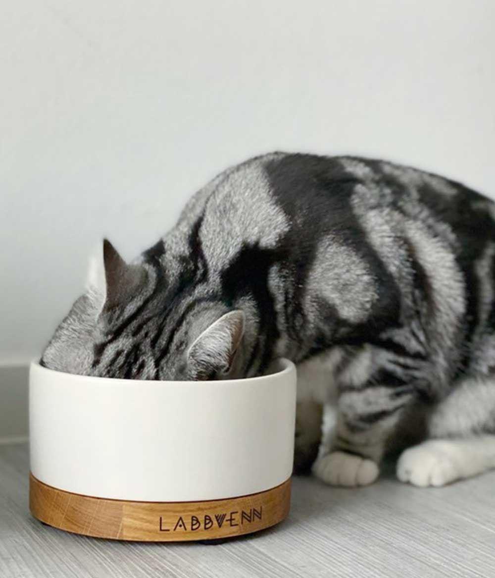 Keramik Katzennapf vuku