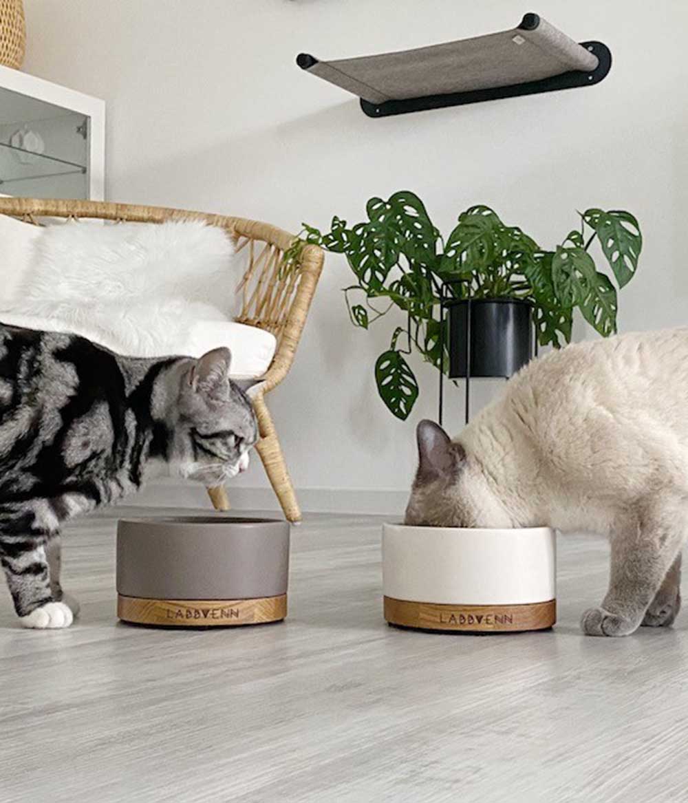 Keramik Katzennapf vuku