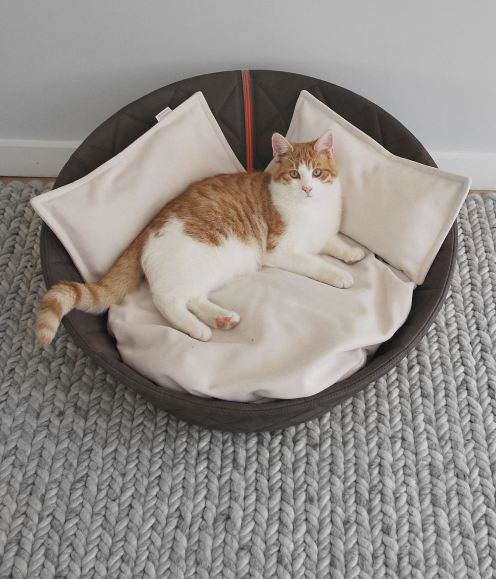 Hochwertiger Leder Katzenkorb Chester mit Kissen
