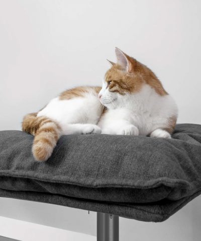 Hochwertige Katzenliege Poet