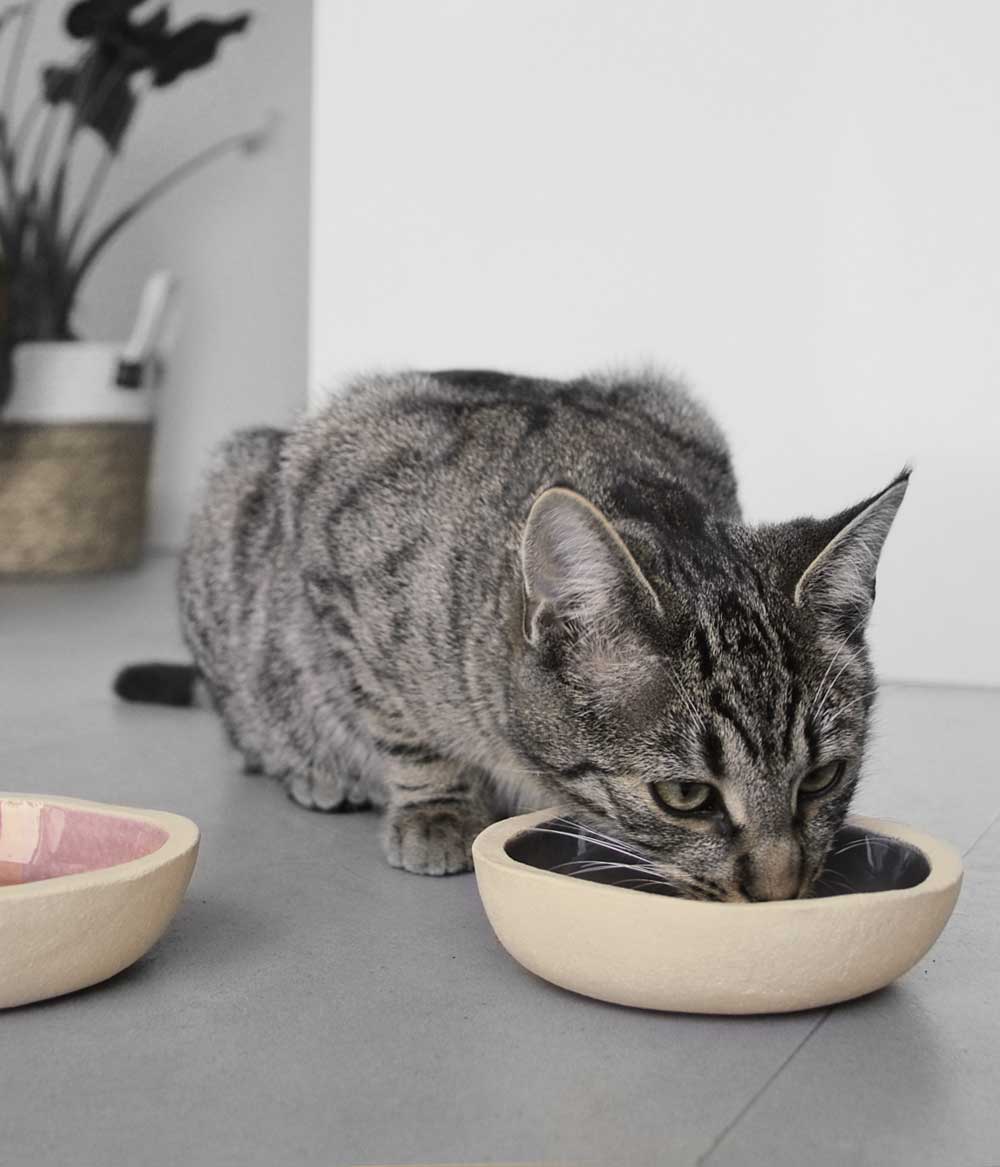 Napfe_handgemacht_keramik_don_carlos_grau_altrosa_akira Napf aus Steinzeug