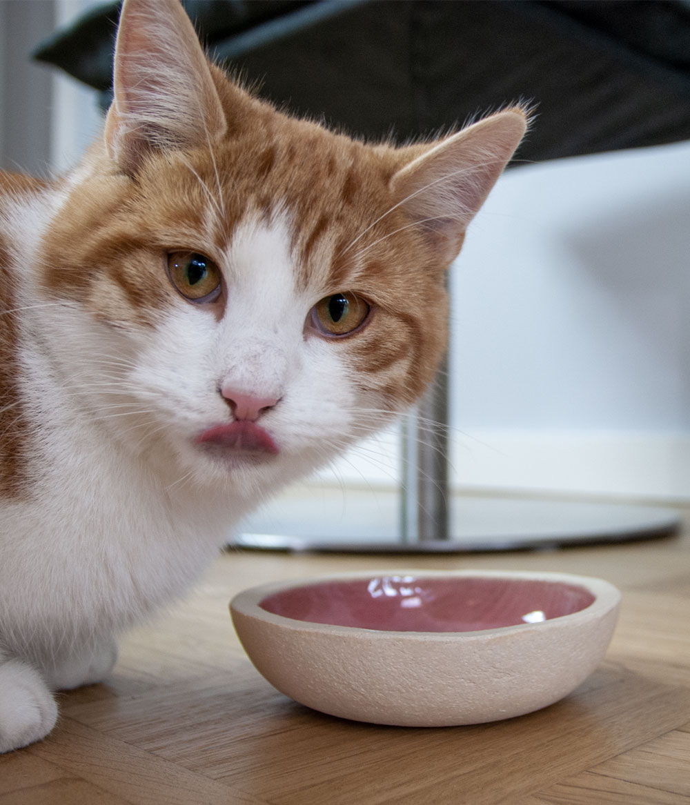 Napfe_handgemacht_keramik_don_carlos_grau_altrosa_eric Napf aus Steinzeug altrosa