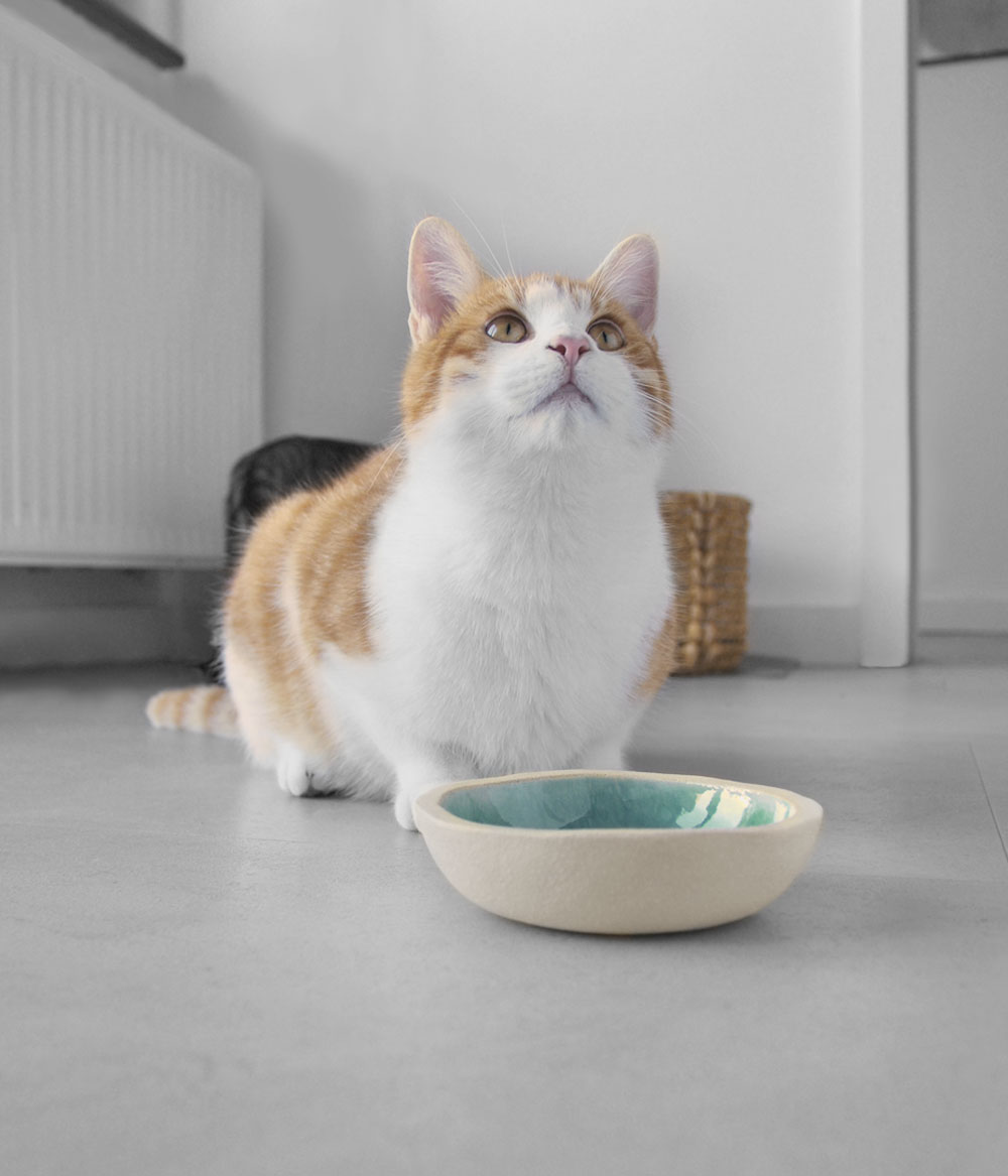 Napfe_handgemacht_keramik_don_carlos_tuerkis_01 Napf aus Steinzeug türkis