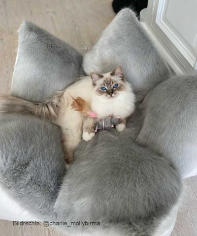 Katzenbett exklusiv grau mit Fell