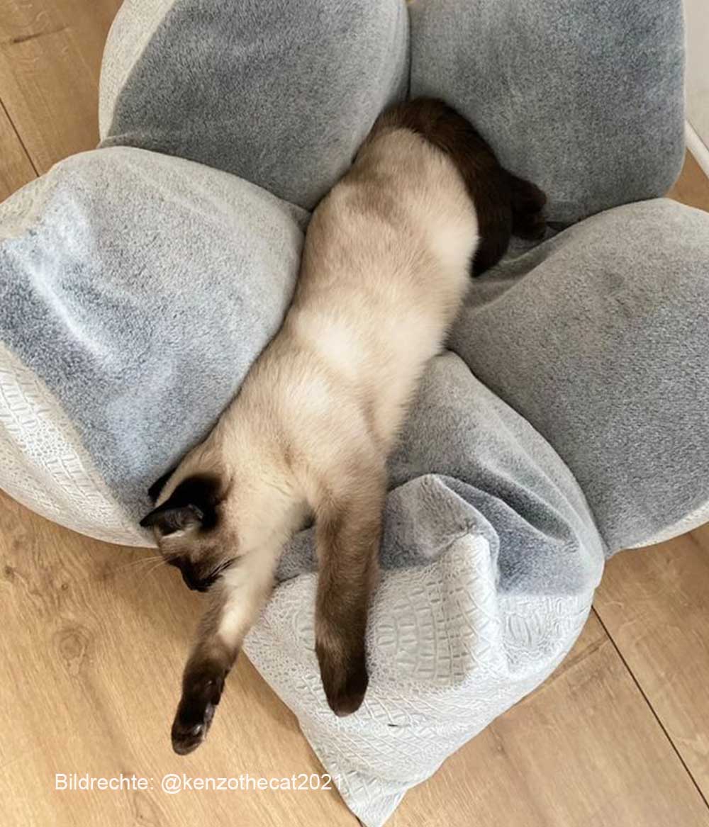Katzenbett exklusiv FLUM grau