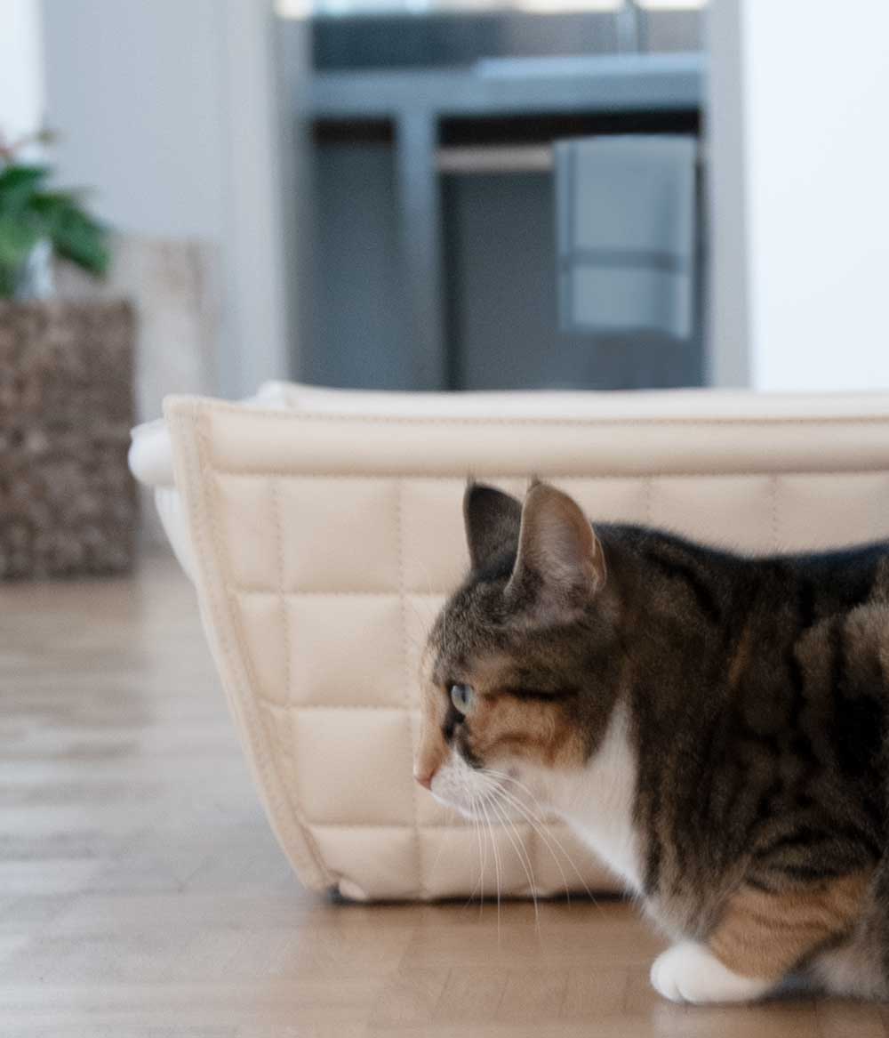 Katzenkorb Leder hochwertig