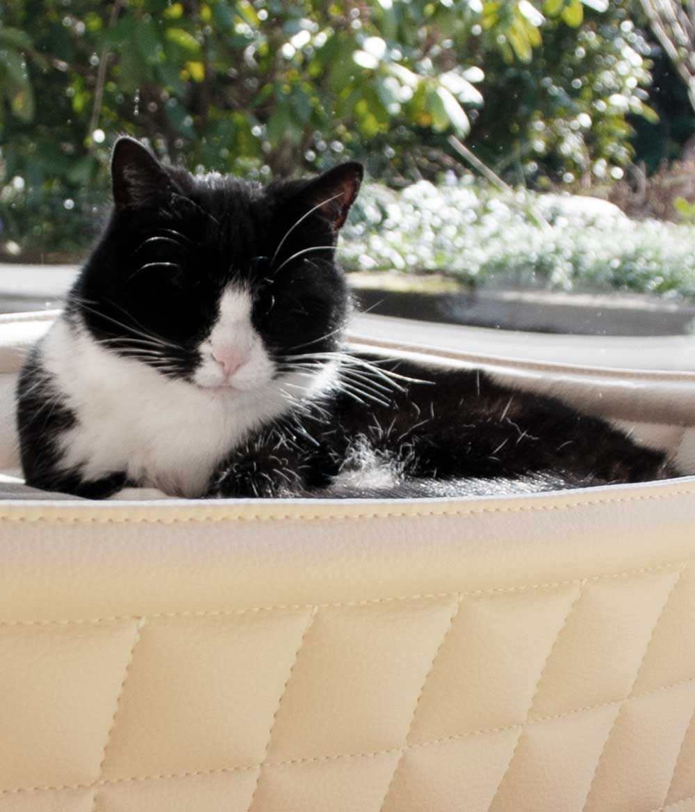 Katzenkorb Leder hochwertig