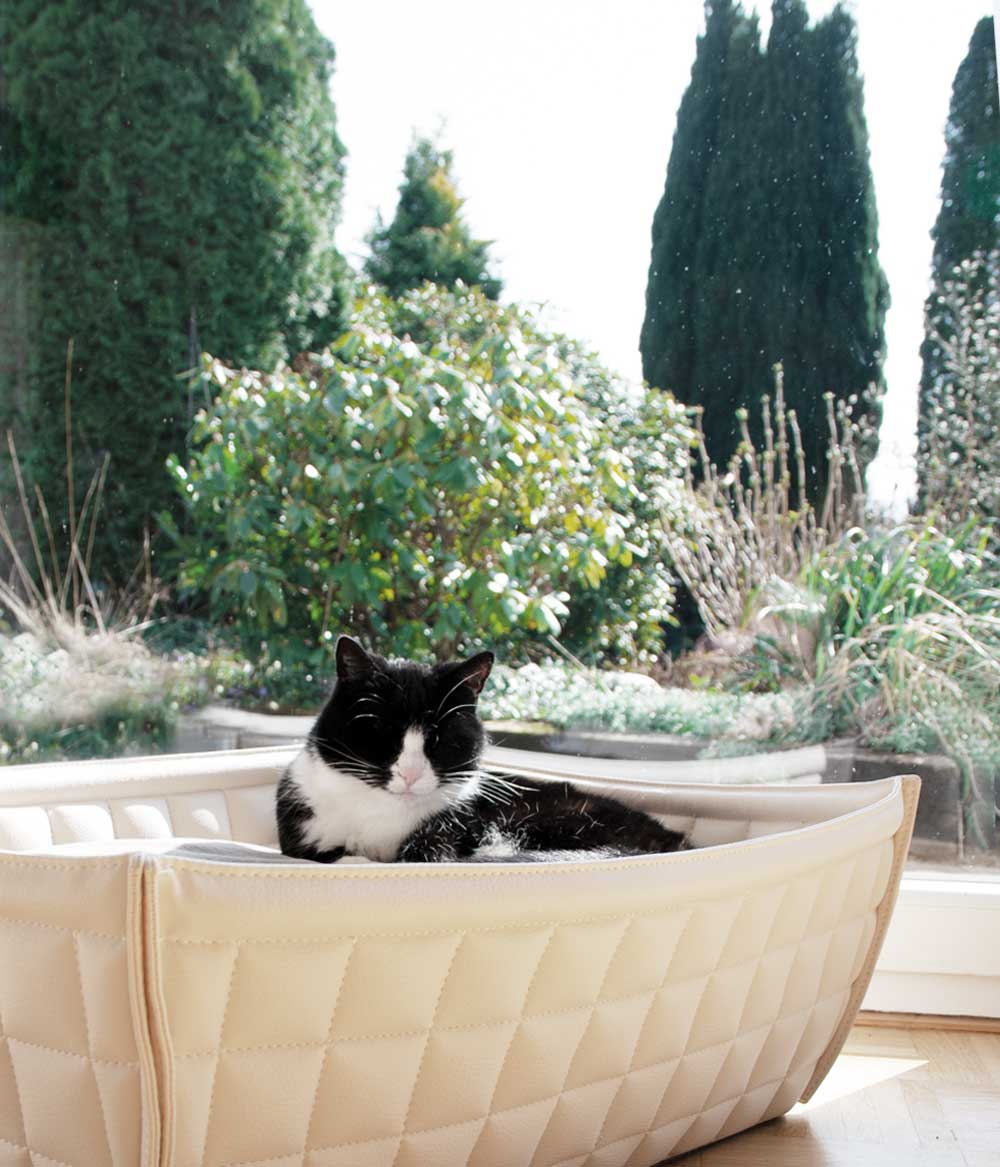 Katzenkorb Leder hochwertig