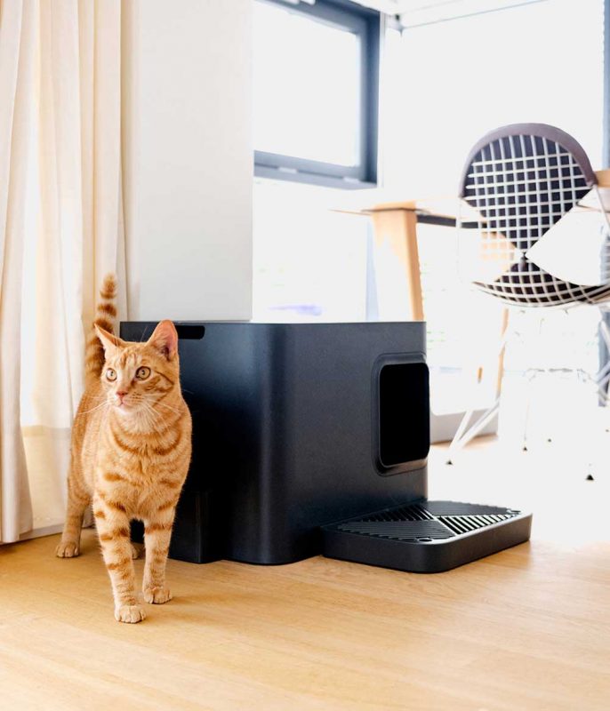 NEAKASA M1 Haustierrampe - Modulare Katzenklo Rampe Mit Rutschfester Oberfläche