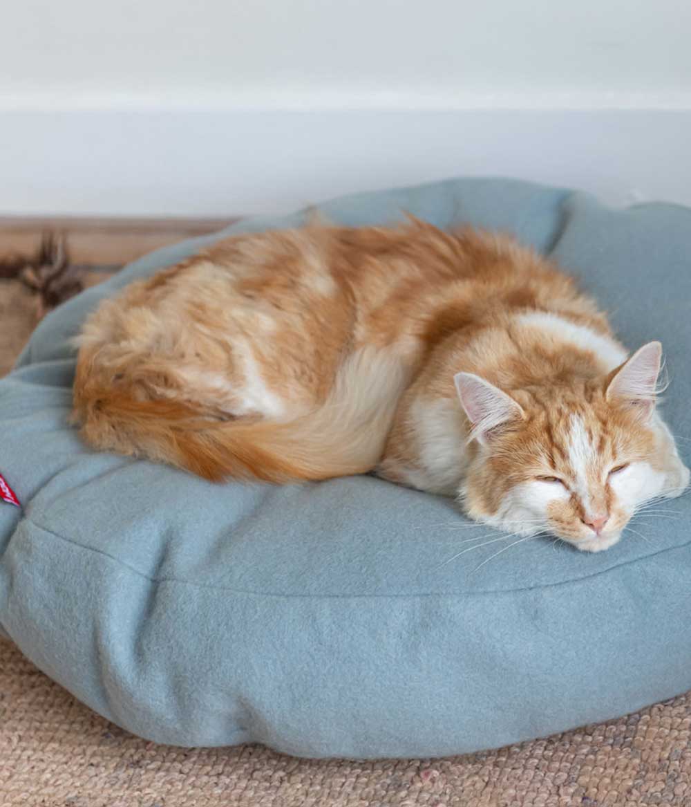 elegantes Katzenbett