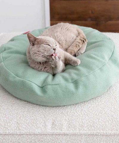modernes Katzenbett