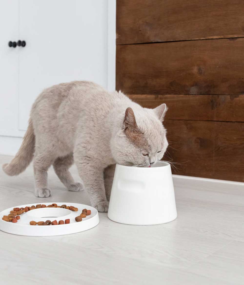 ansehnliches Futternapf